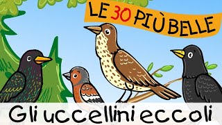 Gli uccellini eccoli  Canzoni per bambini [upl. by Mahan696]