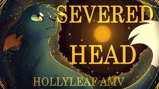 Severed Head  HOLLYLEAF AMV [upl. by Paquito]