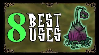 LUREPLANT BEST USES  Dont Starve Together Guide [upl. by Acnaiv]