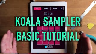 Koala Sampler Basic Tutorial [upl. by Anital]