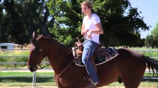 Barrel Racing Basics [upl. by Annah]