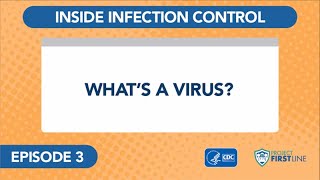 What We Mean By Positive amp Negative RNA Viruses [upl. by Nnaul]