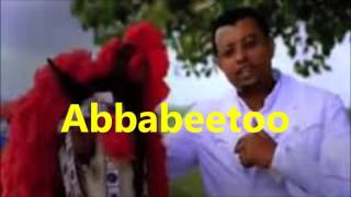 Taddalaa Gammachuu Abbabeetoo [upl. by Hoeve]