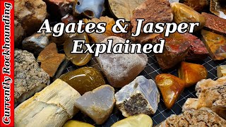 Agates amp Jasper  What Do You Really Know About Them [upl. by Ulysses]