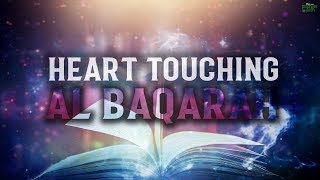 THE MOST HEART TOUCHING RECITATION OF SURAH BAQARAH [upl. by Lord]