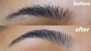 HOW TO GROOM  SHAPE YOUR EYEBROWS super easy  at home [upl. by Fotzsyzrk]