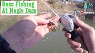 BASS FISHING at Nagle Dam South Africa KZN [upl. by Hna956]