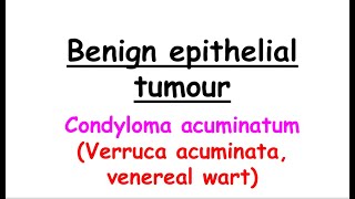 condyloma acuminatum English [upl. by Notsirt54]