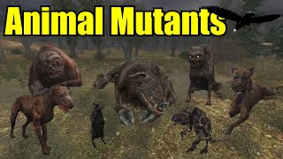 STALKER ALL Monsters amp Creatures Explained 1  Animal Mutants [upl. by Pegasus]