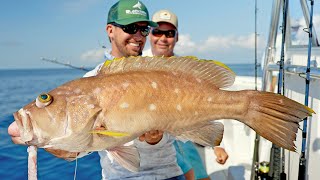 Deep Sea Fishing in Alabama Deep Water Groupers and Snappers [upl. by Herahab536]