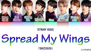 Stray Kids quotSPREAD MY WINGSquot SKZ2020 colorcodedlyrics HanRomEng [upl. by Gerardo]