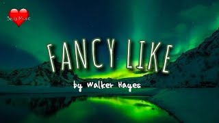 FANCY LIKE LYRICS by Walker Hayes [upl. by Christiansen168]