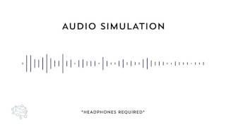 Auditory Processing Disorder Simulation [upl. by Ardiek]