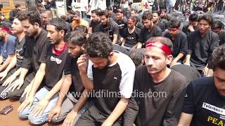 Shia Muslims observe Namaz on the day of Ashura [upl. by Aehsat282]