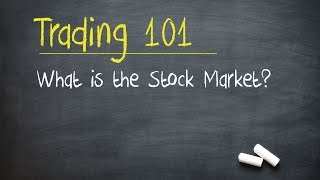 Trading 101 What is the Stock Market [upl. by Aiuqram]