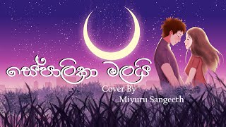 Sepalika Malai සේපාලිකා මලයි Cover By Miyuru Sangeeth [upl. by Newkirk]