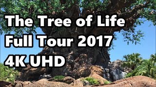 Tree of Life at Disneys Animal Kingdom  Full Tour in 4K  2017 [upl. by Reagen]