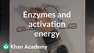 Enzymes and activation energy  Biomolecules  MCAT  Khan Academy [upl. by Krusche960]