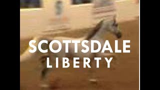 Scottsdale Arabian Horse Show Liberty Finals [upl. by Anuala199]