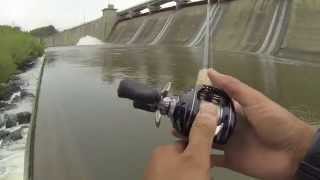 Saugeye and Buffalo Carp Fishing at Hoover Dam [upl. by Haskins459]