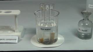 Tests for Amines  MeitY OLabs [upl. by Pravit]