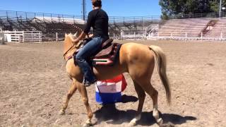 Fallon Taylor Barrel Racing Tips One Barrel Drill [upl. by Retrac]