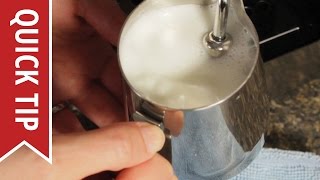 How to AutoFroth Milk for Lattes [upl. by Egiedan]