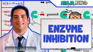 Biochemistry  Enzyme Inhibition [upl. by Brittain]