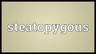 Steatopygous Meaning [upl. by Ynffit]