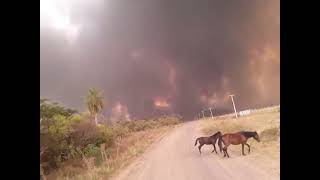 Incendios Corrientes  quotProyectos Problemas Ambientalesquot [upl. by Aggappe]