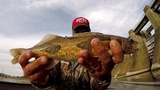 Sauger Fishing  Catching Sauger and Bass At Guntersville Dam [upl. by Llehsar]