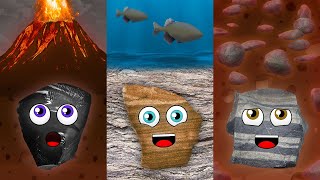 3 Types of Rocks and The Rock Cycle [upl. by Einahc974]