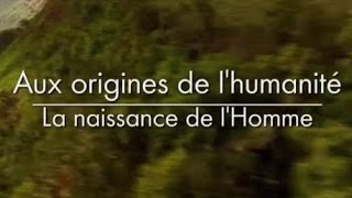 Aux origines de lhumanité  La naissance de lhomme 23 [upl. by Nodnab427]