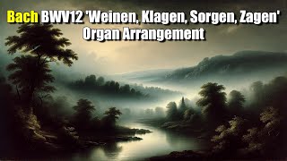 Bach BWV12 Weinen Klagen Sorgen Zagen  Organ Arrangement [upl. by Smoht643]