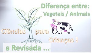 Diferenças entre vegetais e animais [upl. by Eidua]