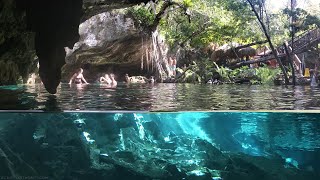 Cenotes of Tulum Mexico  Cancun Snorkeling [upl. by Rhett]