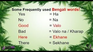 Learn Some Frequently Used Bengali Words in English Part 1 [upl. by Enidlarej]