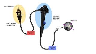 Endoscope Technology TheoryLesson 3Endoscope Parts [upl. by Anisirhc152]