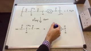 Hydrolysis of Polyamides [upl. by Fidelity]