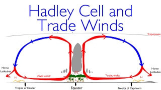 Geography Classics Hadley Cell Trade Winds and Deserts [upl. by Psyche]