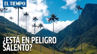 ¿Está en peligro Salento  EL TIEMPO [upl. by Reggi]