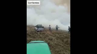 Incendios en Corrientes Crítica situación del sector productivo [upl. by Twila]