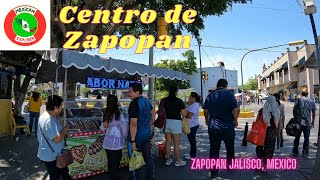 Zapopan Centro 4K [upl. by Johan]