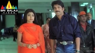 Nenunnanu Telugu Movie Part 1213  Nagarjuna Aarti Aggarwal Shriya  Sri Balaji Video [upl. by Novel]