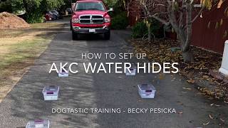 Scent WorkNose Work Buried Hides  How to set up AKC Water Hides [upl. by Nytsirt845]