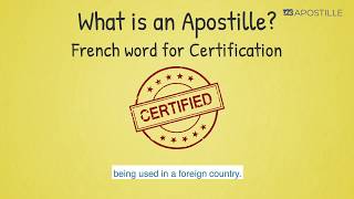 Apostille Authentication Services for ANY State of USA  123 Apostille [upl. by Ahsitil]