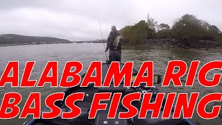 FIshing below the Guntersville Dam on Lake Wheeler for some Bass Alabama Rig Bass Fishing [upl. by Eural]