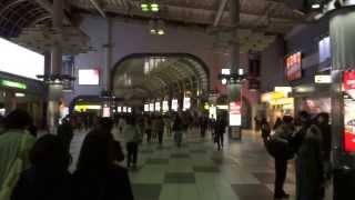 NEX Narita express from Narita airport to Shinagawa station [upl. by Clova]