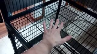 Ferret Nation Cage Review  Modifications Tips amp Tricks [upl. by Starla]