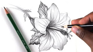 How To Draw A Flower Step by Step In 10 Minutes [upl. by Aicirtac]